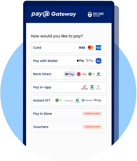 Pay@ Gateway checkout showing card, wallet, bank direct, pay in app, and Instant EFT payment options