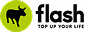Flash
